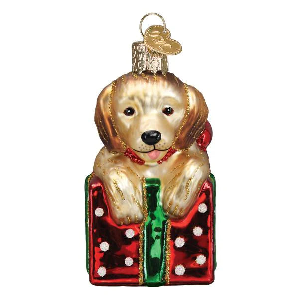 Golden Puppy Surprise Glass Ornament  Old World Christmas   