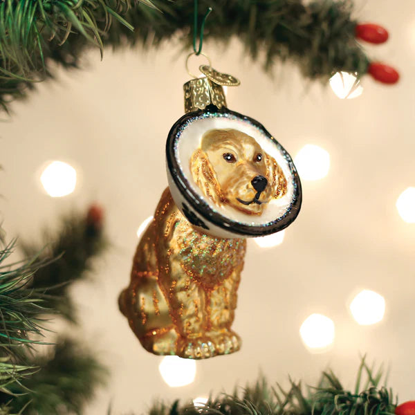 Cone of Shame Dog Glass Ornament  Old World Christmas   