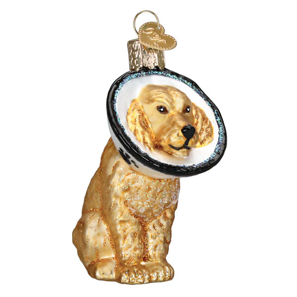 Cone of Shame Dog Glass Ornament  Old World Christmas   