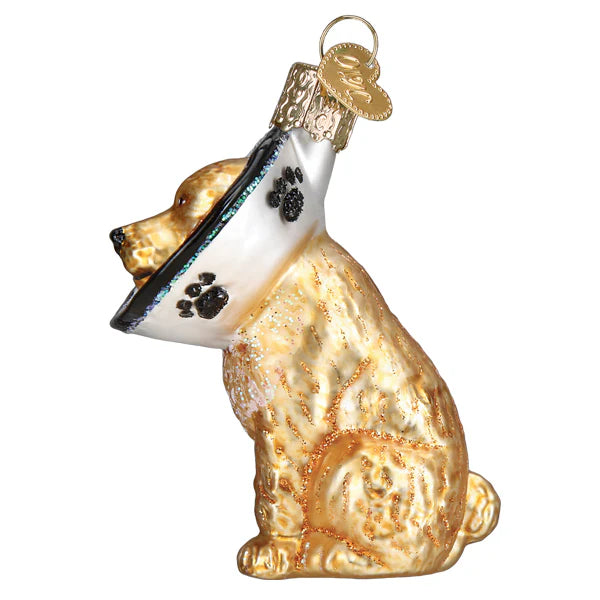 Cone of Shame Dog Glass Ornament  Old World Christmas   