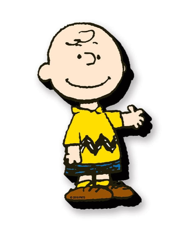Peanuts Charlie Brown Chunky Magnet