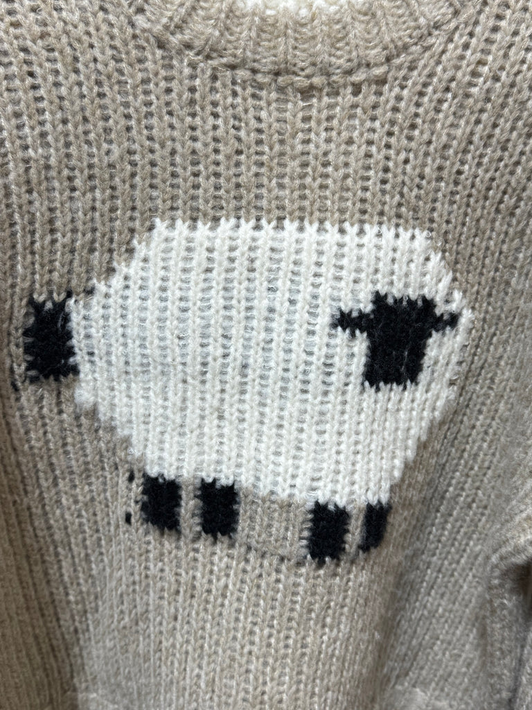 Pullover Sheep Sweater