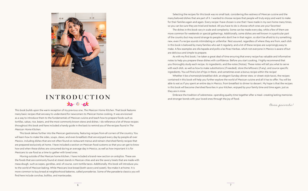 Mexico in Your Kitchen cookbook