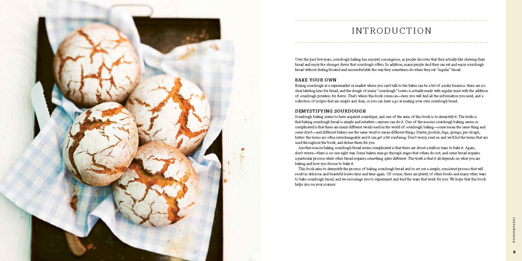 Homemade Sourdough book