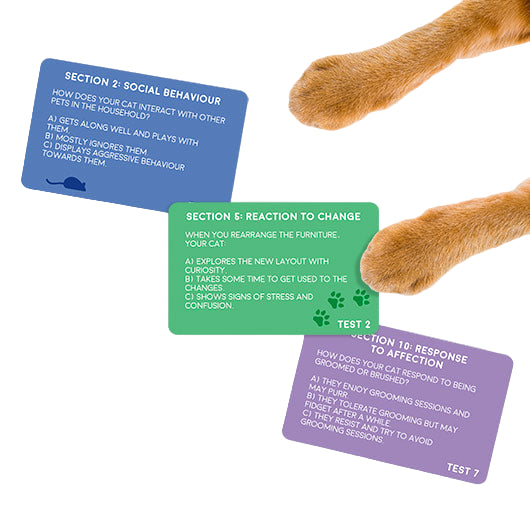 Cat Personality Test