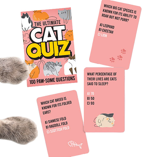 Cat and Dog Quiz Cards