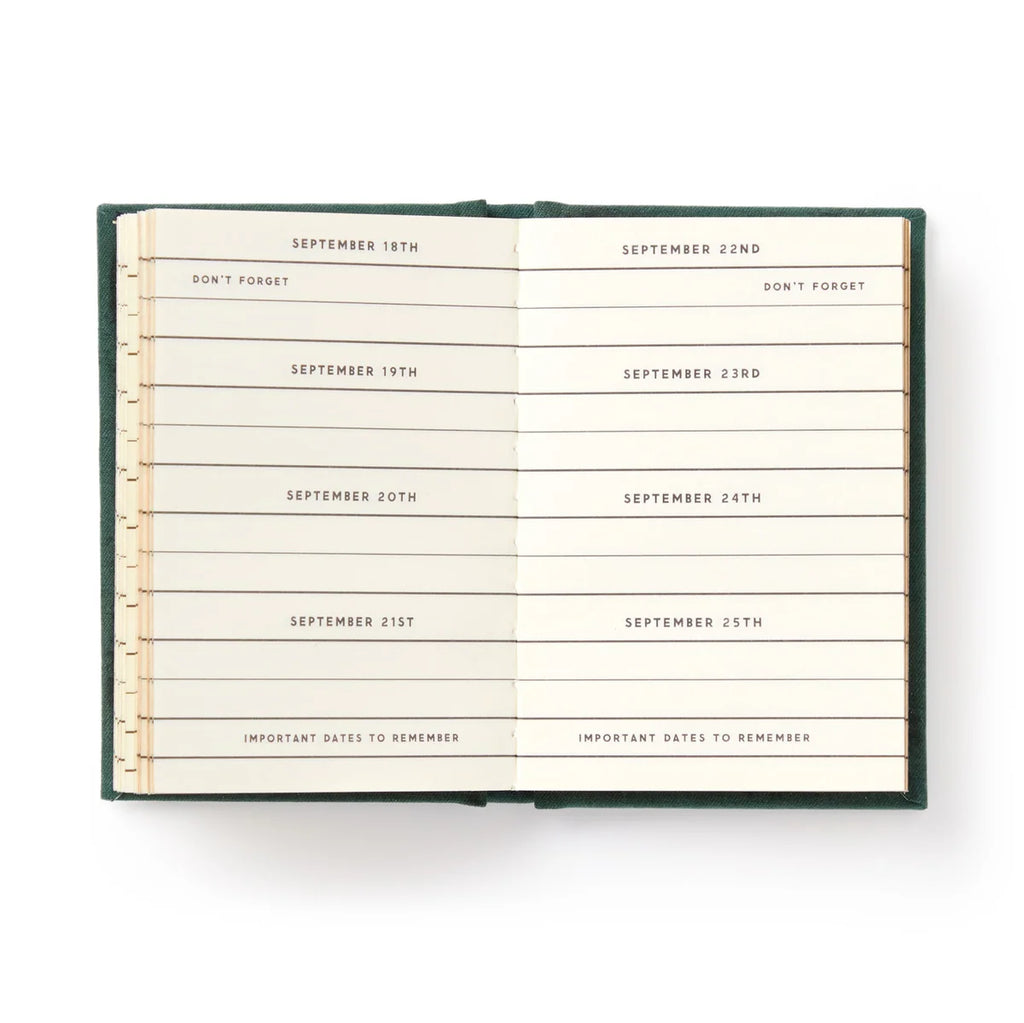 Tiny Diary Dates People Get Mad If I Forget