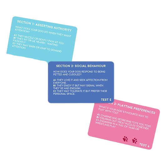 Dog Personality Test