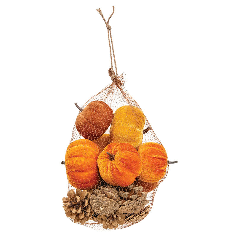 Pumpkins and Pinecones in bag