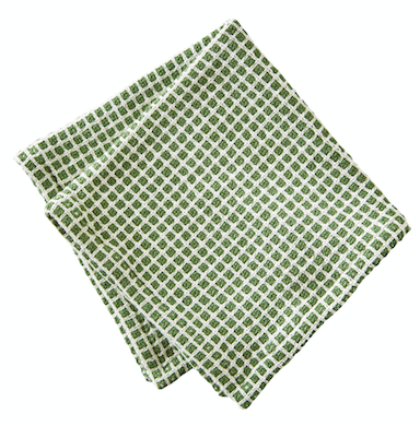 Checked Dish Cloths  TAG Green  