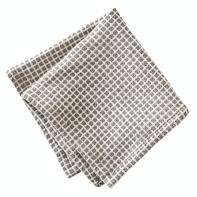 Checked Dish Cloths  TAG Gray  