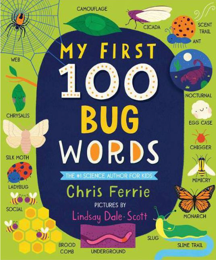 My First 100 Words Books  Sourcebook Bug  