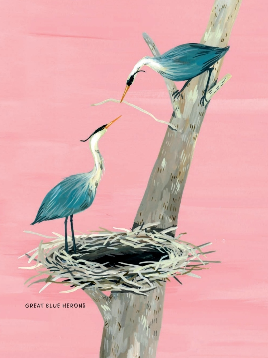 Nest-Eggs-Birds Book  Penguin Random House   