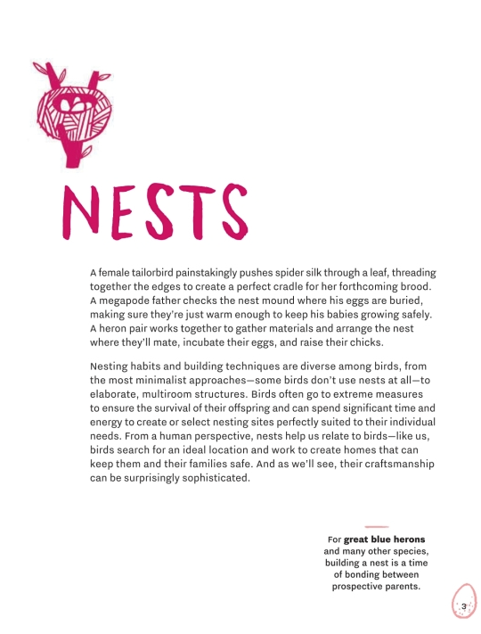 Nest-Eggs-Birds Book  Penguin Random House   