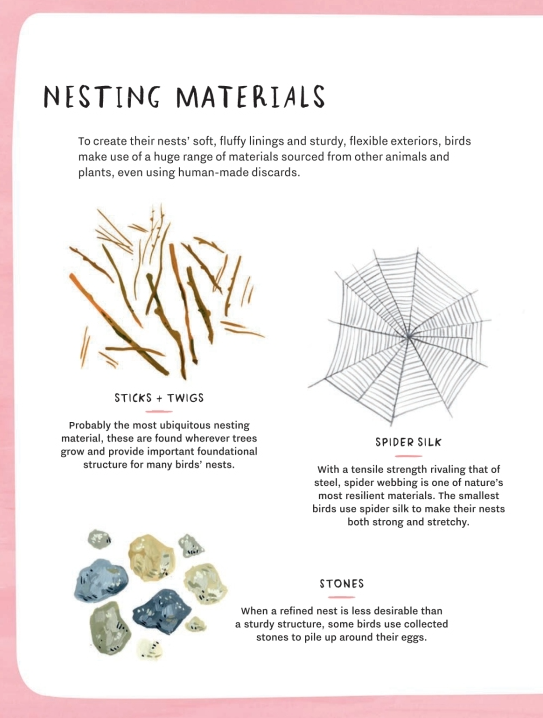 Nest-Eggs-Birds Book  Penguin Random House   