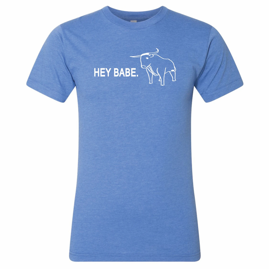 Hey Babe Minnesota T-Shirt by Minnesota Awesome
