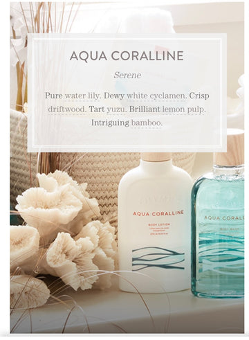 Aqua Coralline Travel Set with Bag