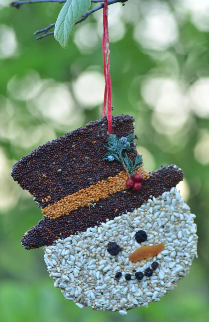 Frosty the Snowman Bird Cookie  Mr. Bird   